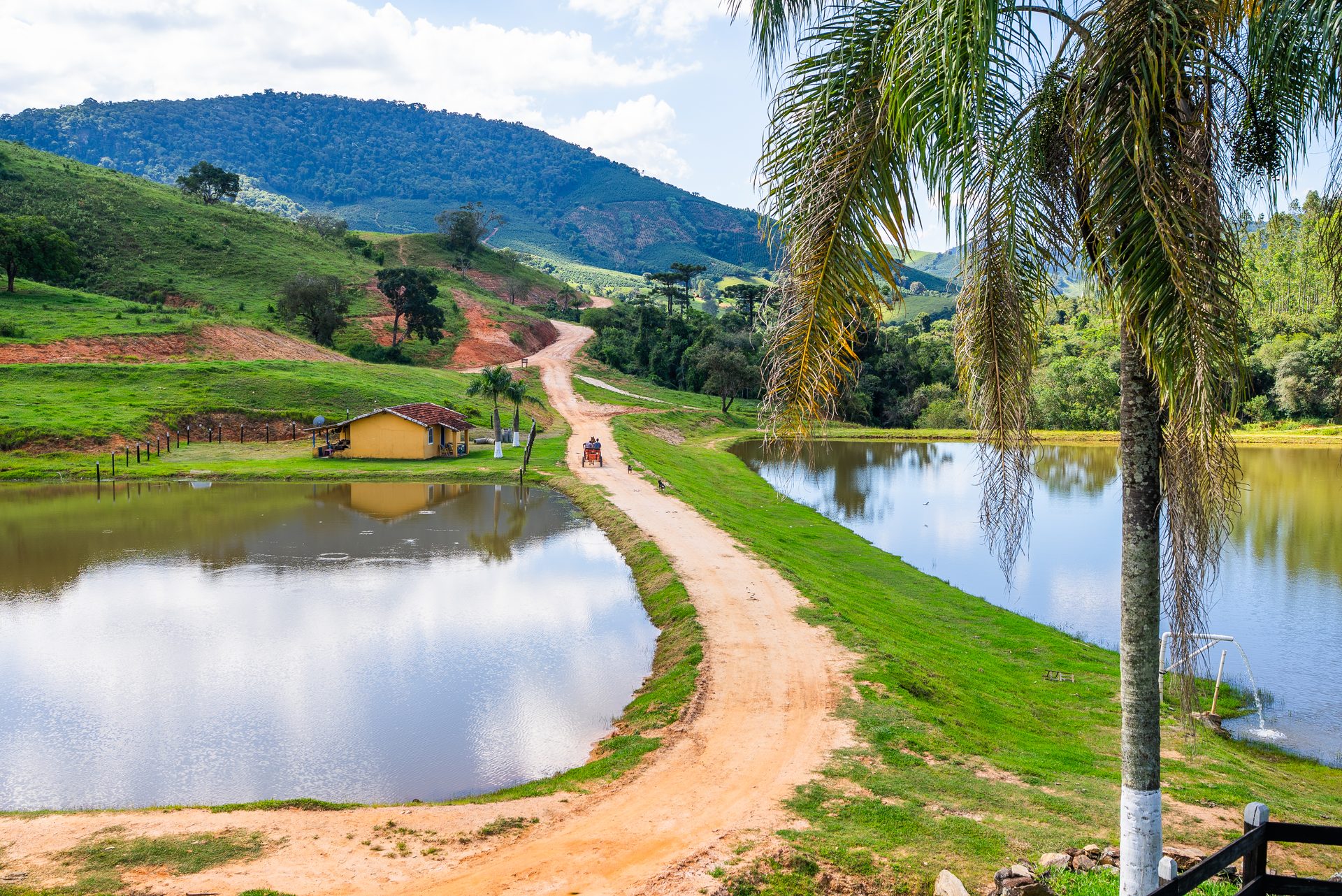 Estrada de terra entre os dois lagos da fazenda